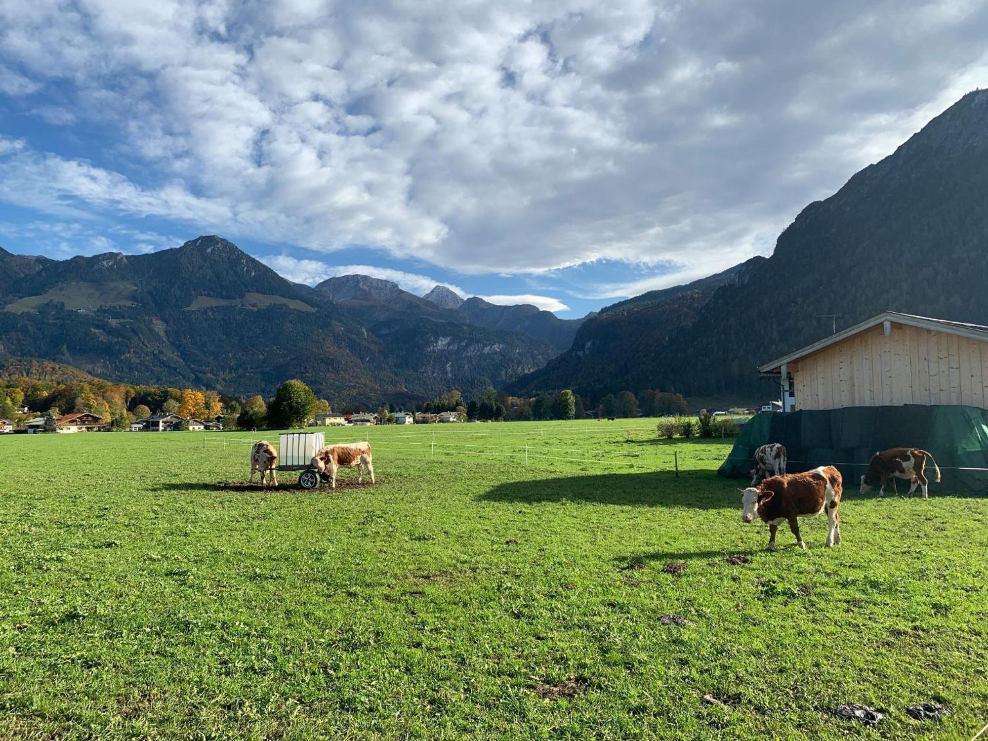 Ferienwohnung Hoher Goellblick Schönau am Königssee 外观 照片
